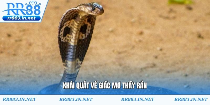 Khái quát về giấc mơ thấy rắn