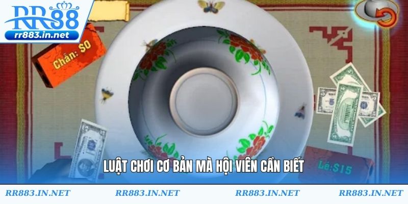 Luật chơi cơ bản tại RR88 mà hội viên cần biết