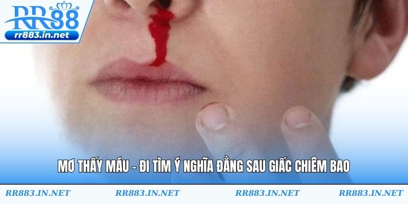 Mơ Thấy Máu - Đi Tìm ý Nghĩa Đằng Sau giấc Chiêm Bao