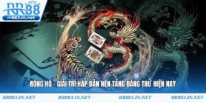 Rồng Hổ - Giải Trí Hấp Dẫn Nền Tảng Đáng Thử Hiện Nay