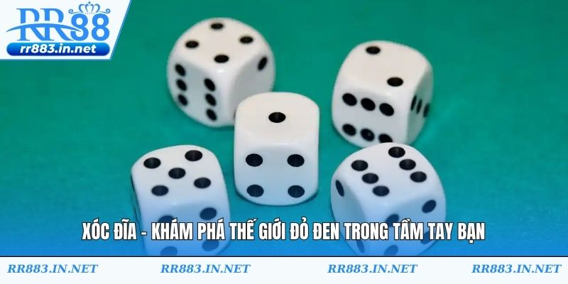 Xóc Đĩa - Khám Phá Thế Giới Đỏ Đen Trong Tầm Tay Bạn